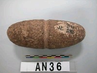 藏品(石製擊棒頭部)的圖片